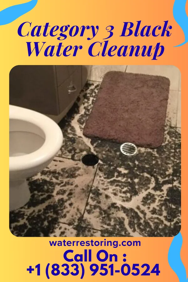 Category 3 Black Water Cleanup in Nash, OK